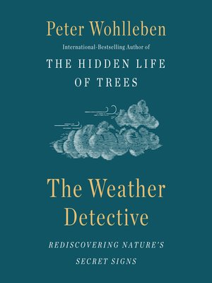 cover image of The Weather Detective